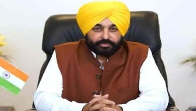 After Pannun's threat, CM Bhagwant Mann said, will not let 'anti-Punjab' forces succeed