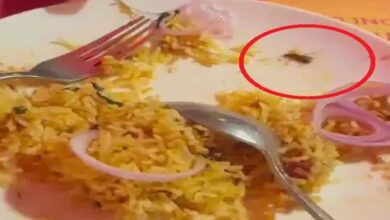 Hyderabad: Cockroach found in biryani at Jubilee Hills BBQ restaurant, GHMC inspected