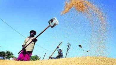 Telangana Govt crackdown on rice millers yields results