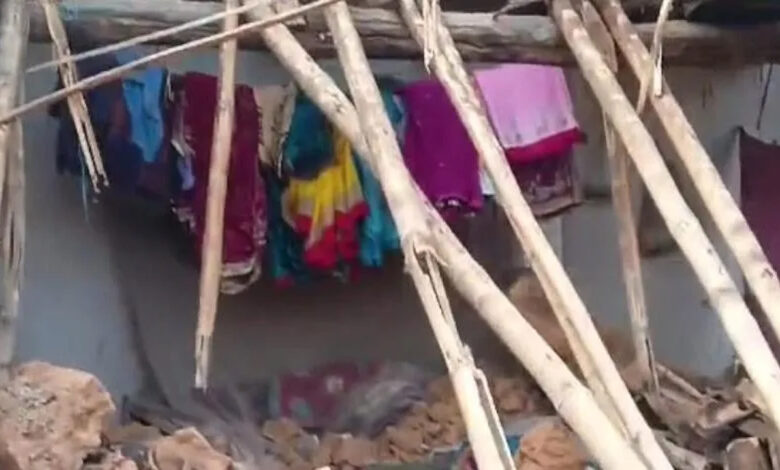 Woman dies, house damaged in elephant riot