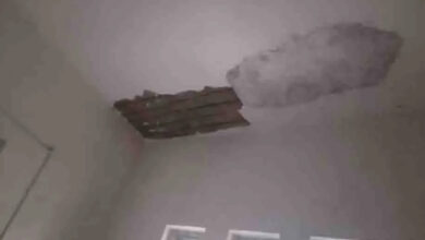 Fall ceiling collapses in Collectorate premises, watch video