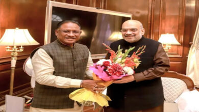 Chief Minister Vishnudev Sai met Union Home Minister Amit Shah