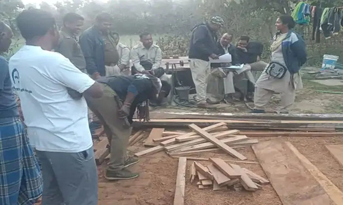 Forest department raids carpenter's house, valuable wood seized