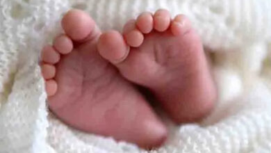 Dead body of 6 month old baby found in bushes