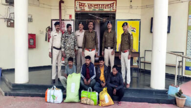 4 interstate ganja smugglers caught by Chichola police