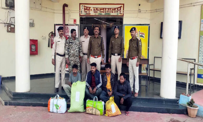 4 interstate ganja smugglers caught by Chichola police