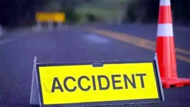 Elderly bike rider dies after being hit by speeding car