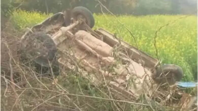 Eco van overturns in field after colliding with Nilgai