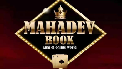 Two accused in Mahadev app betting case get 13 days judicial remand