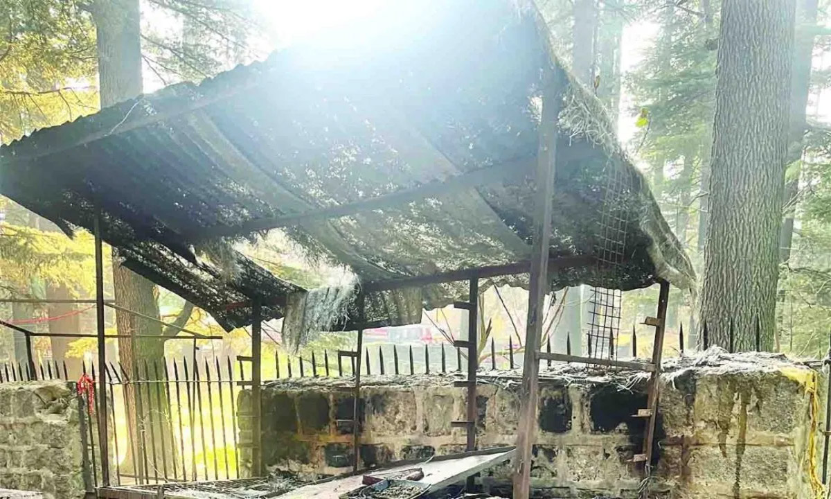 Devastation due to sudden spark in Manali, seven lakh ashes