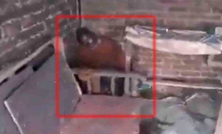 Teacher burnt alive in room, watch VIDEO…