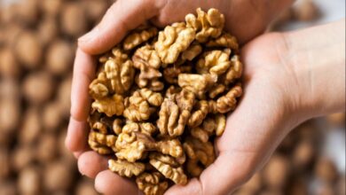 Eating walnuts every morning on an empty stomach will provide many benefits to the body