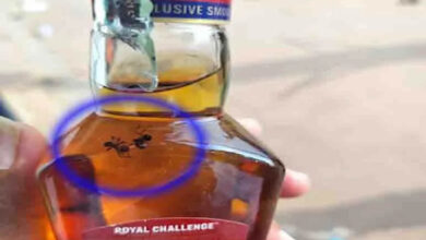 Two dead ants found in a sealed liquor bottle