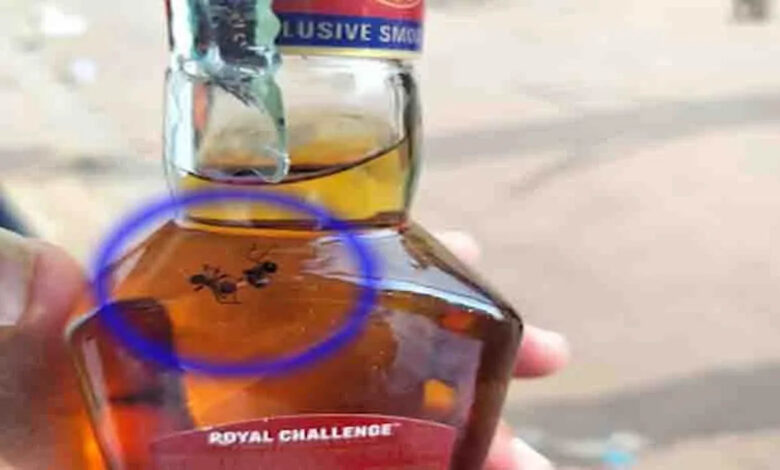 Two dead ants found in a sealed liquor bottle