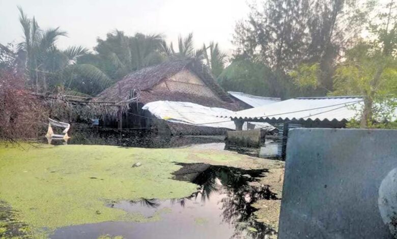 Untold miseries of Vellalanvilai flood victims