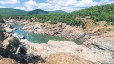 Plea to monitor water supply from Hogenakkal project in Tamil Nadu