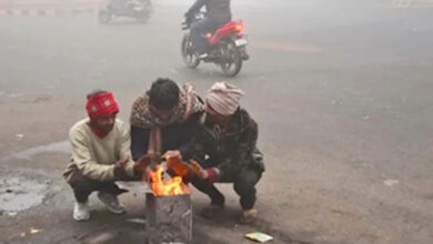 Delhi Weather: Cold havoc continues in Delhi, know weather updates