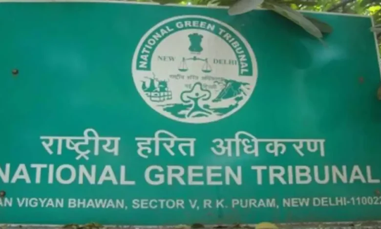 NGT panel to probe encroachment on Mahanadi river bed in Odisha