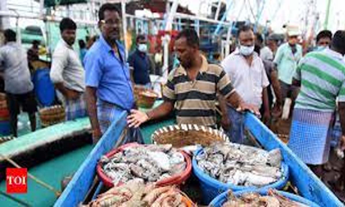 Decline of visitors brings neglect of Mapusa fish and meat complex into focus