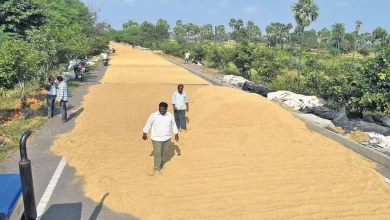 Rs 17 crore for delta farmers who lost Kuruvai paddy