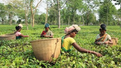 Public meet of tea labourers, employees organized in Demow