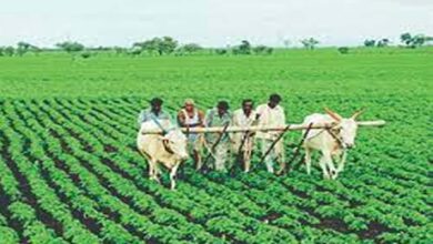 Farmers get mixed benefits as budget focuses on technology and self-reliance