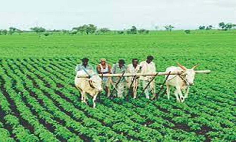 Farmers get mixed benefits as budget focuses on technology and self-reliance