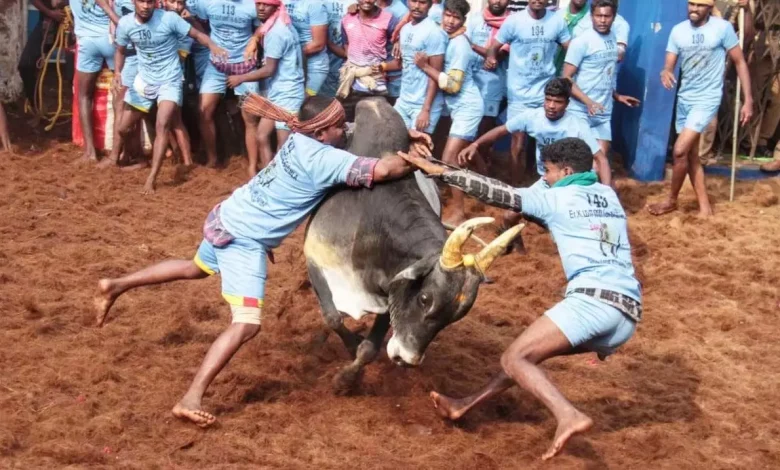 Tamil Nadu: Many injured in Jallikattu event in Sivagangai