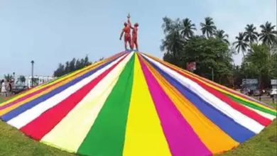 A riot of colours: Panaji comes alive as Carnival festivities kick off