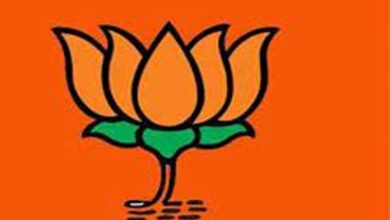 Lok Sabha elections: MGP supports BJP