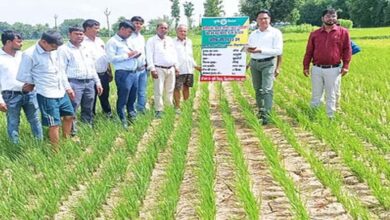 Agriculture department team is studying farming techniques in Rajasthan