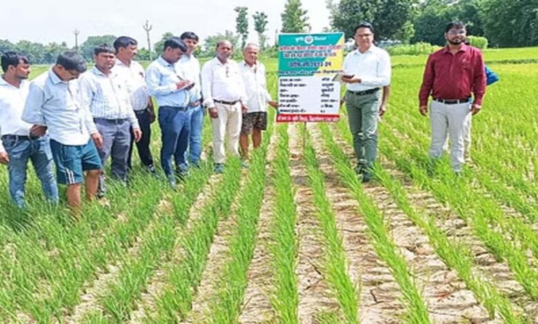 Agriculture department team is studying farming techniques in Rajasthan