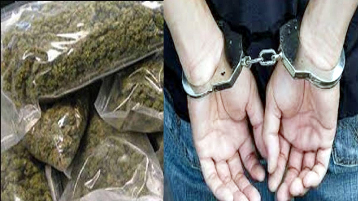 Big consignment of ganja seized in Umaria district, two accused along with bike arrested