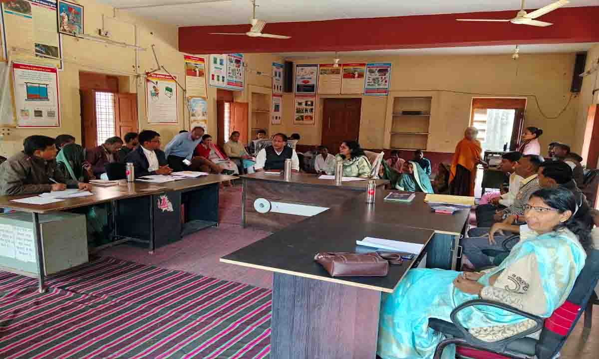 Collector reached the public hearing of Narayani Gram Panchayat