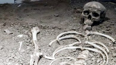 Four human skeletons about 15 years old found in vacant plot in Damodar Nagar