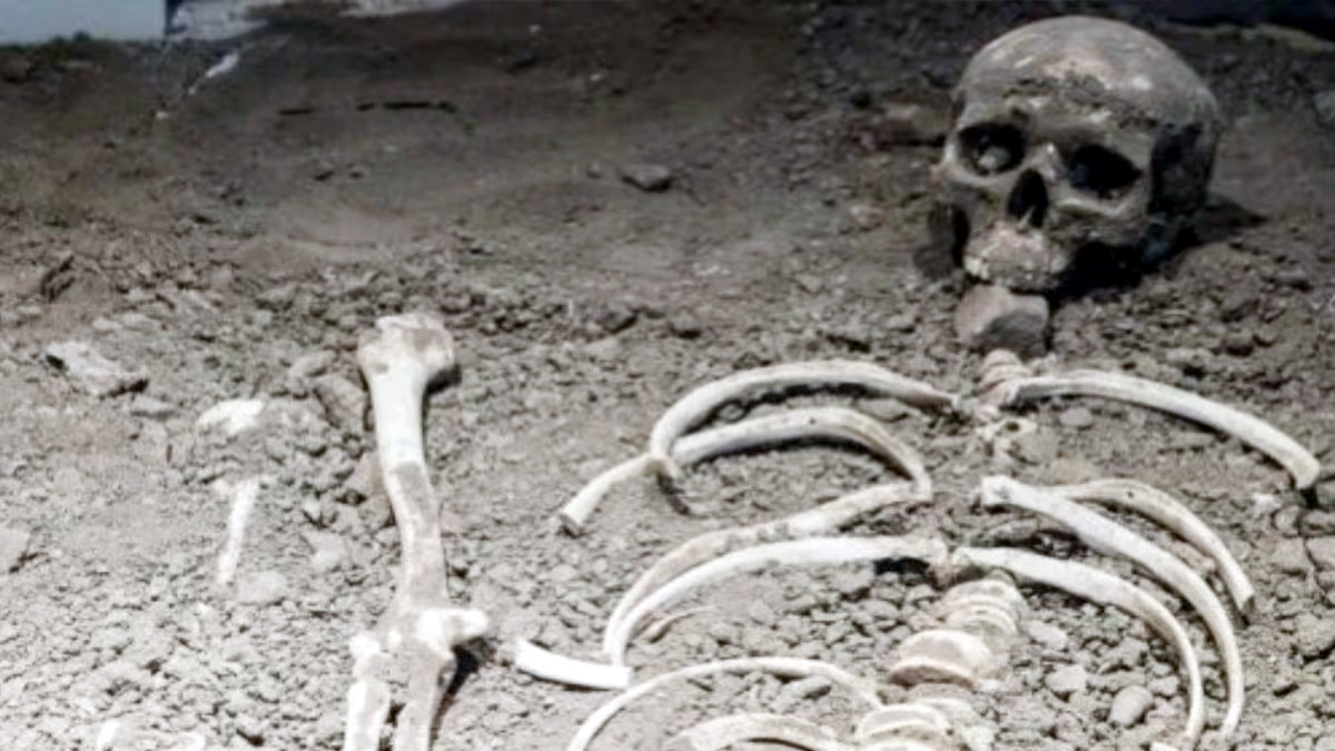 Four human skeletons about 15 years old found in vacant plot in Damodar Nagar