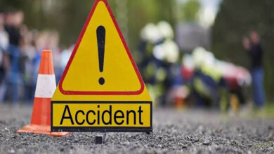 Bike rider and bull killed in collision with speeding Thar