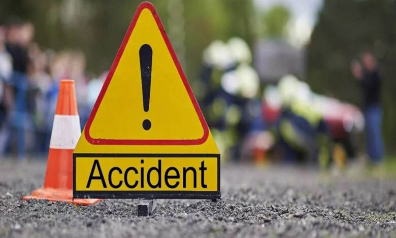 Bike rider and bull killed in collision with speeding Thar