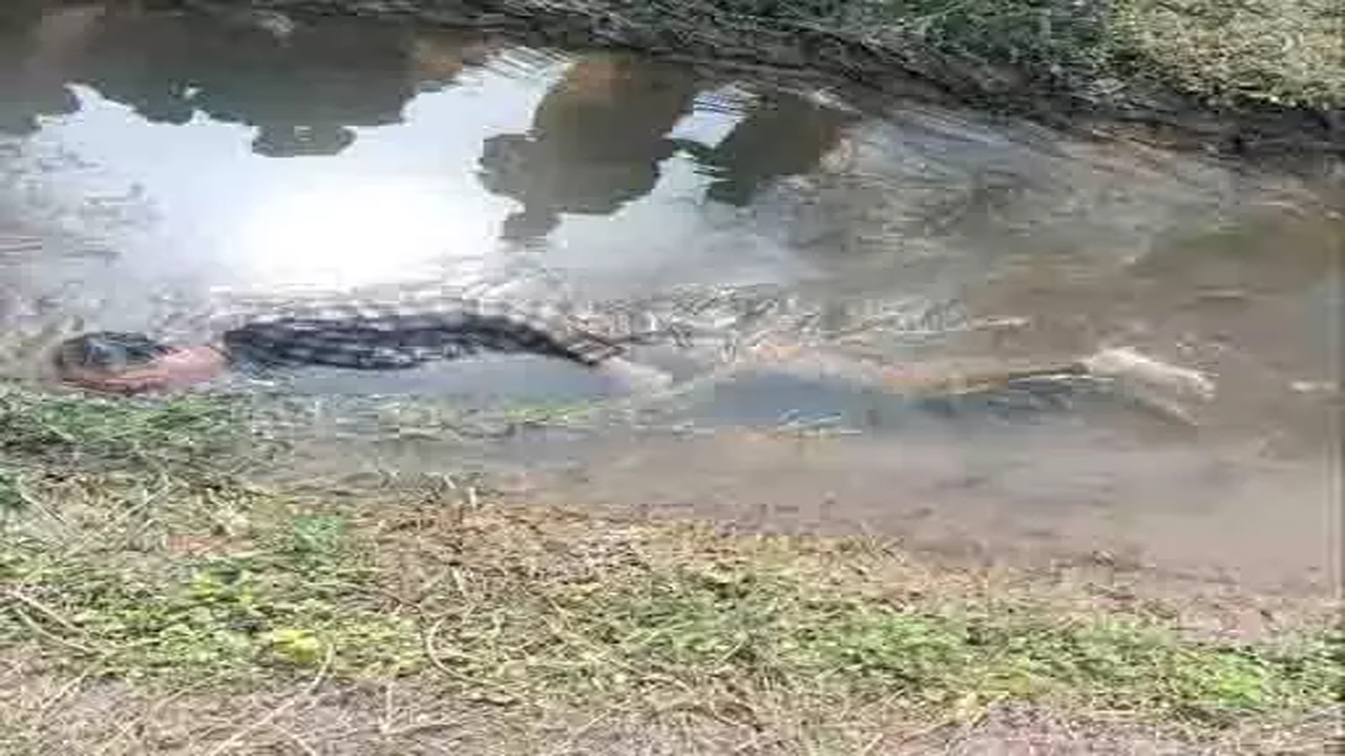 Dead body of a young man found in the canal, sensation spread in the village