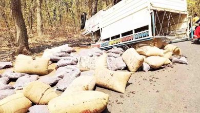 Pickup's tire burst, car overturned on the road