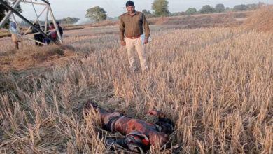 Unidentified body found under high tension tower, police circulated photo