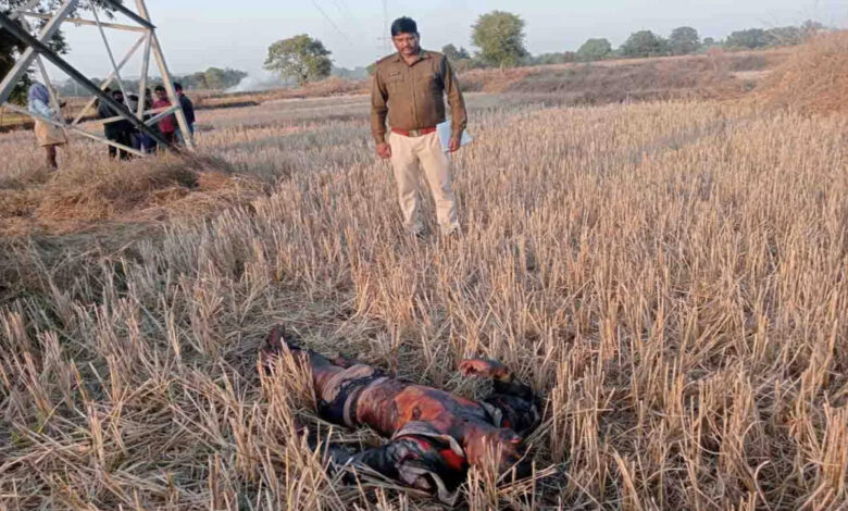 Unidentified body found under high tension tower, police circulated photo