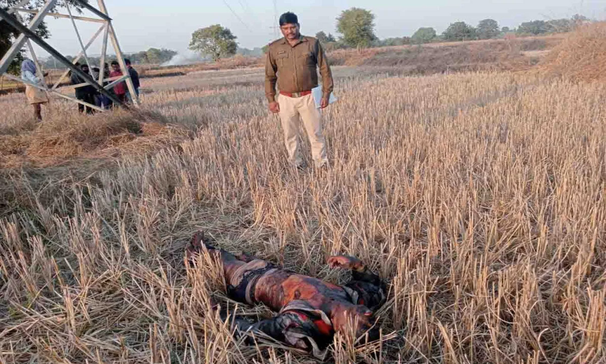 Unidentified body found under high tension tower, police circulated photo