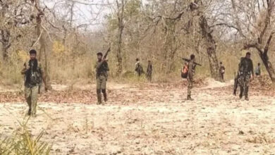 Two Naxalites killed in Narayanpur, 12 bore gun also recovered