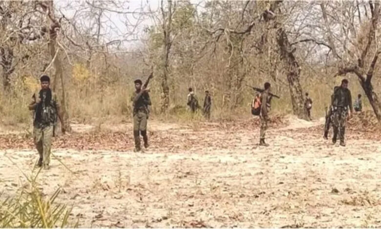 Two Naxalites killed in Narayanpur, 12 bore gun also recovered