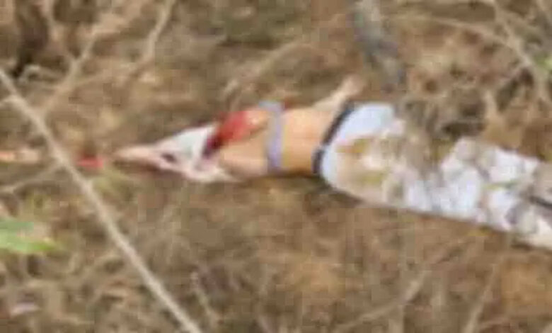 Mutilated body of a girl found in the forest, eaten up by dogs