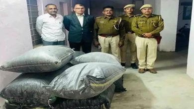 Smuggling of 178 kg of doda-poppy, accused absconding