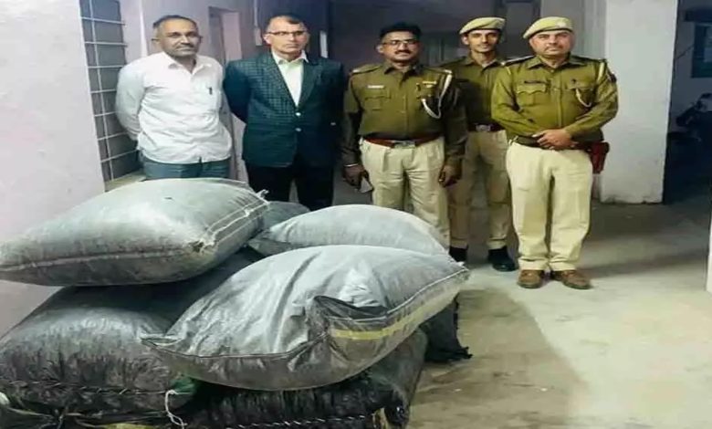 Smuggling of 178 kg of doda-poppy, accused absconding