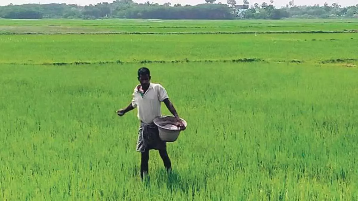 Fertilizer is being sold at Rs 200 more in cooperative shops than in private shops