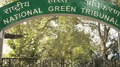 NGT issues notice to Centre, state on eco-tourism in Satkosia Tiger Reserve